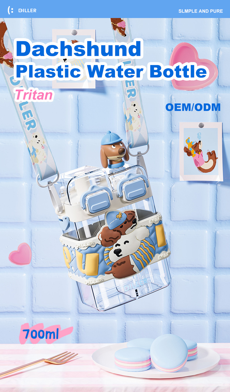 700ml Tritan Plastic Water Bottle D2538