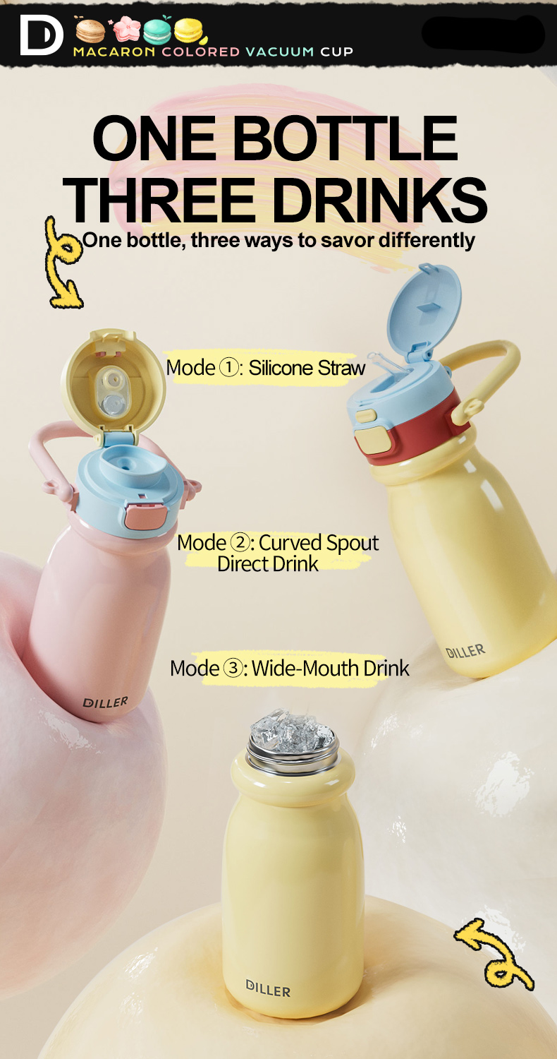 520ml 316L Stainless Steel Water Bottle D9327-520