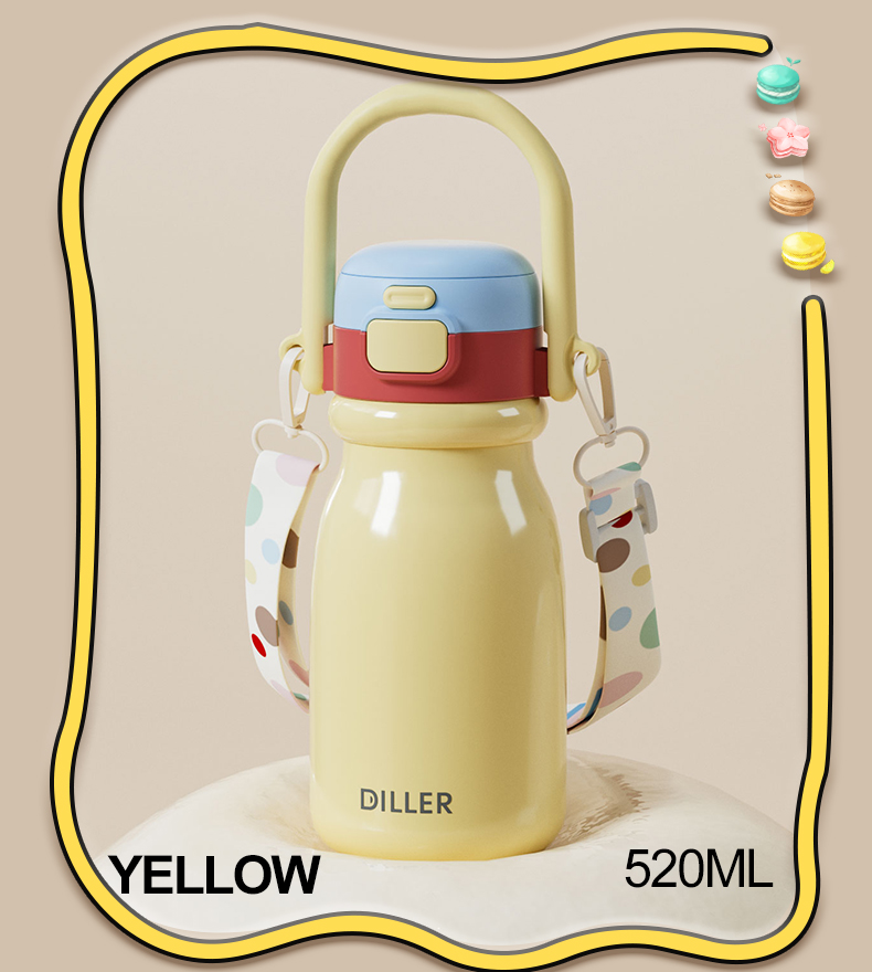 520ml 316L Stainless Steel Water Bottle D9327-520