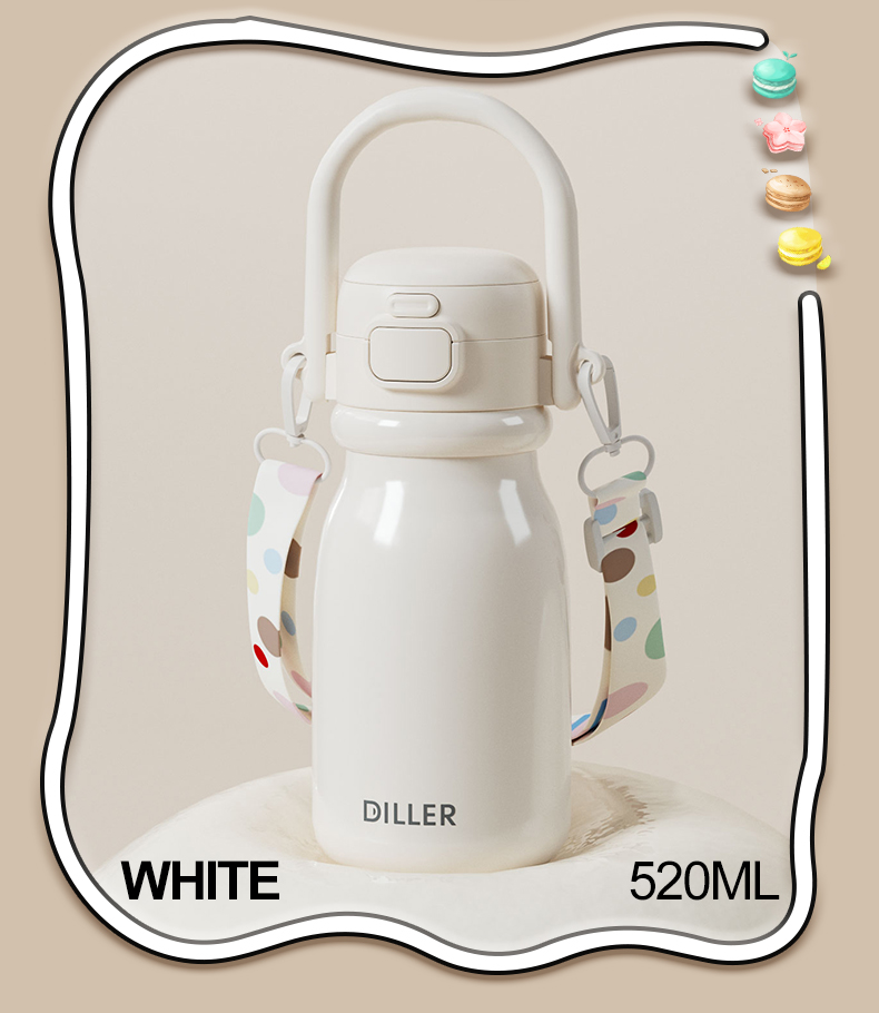 520ml 316L Stainless Steel Water Bottle D9327-520