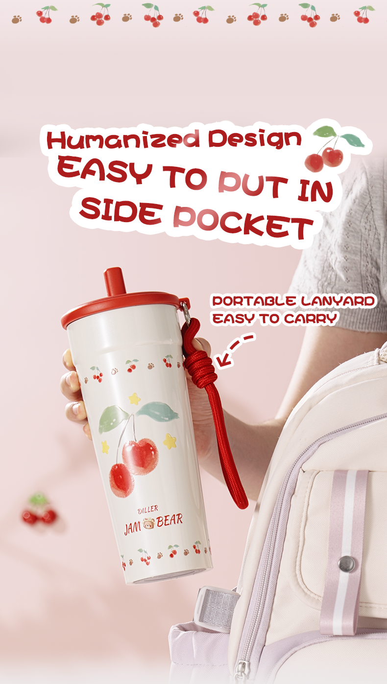700ml 316 Stainless Steel Straw Cup Water Bottle D9434-700