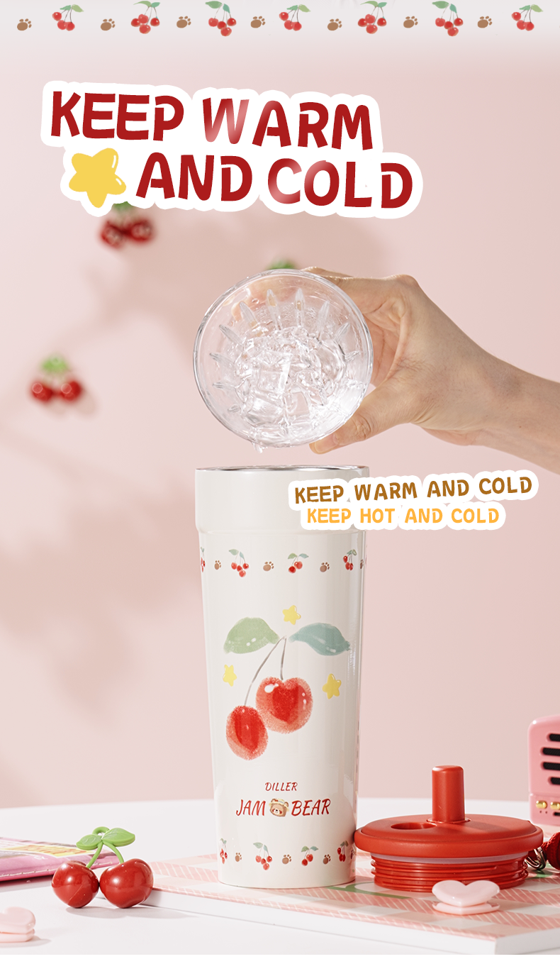 700ml 316 Stainless Steel Straw Cup Water Bottle D9434-700