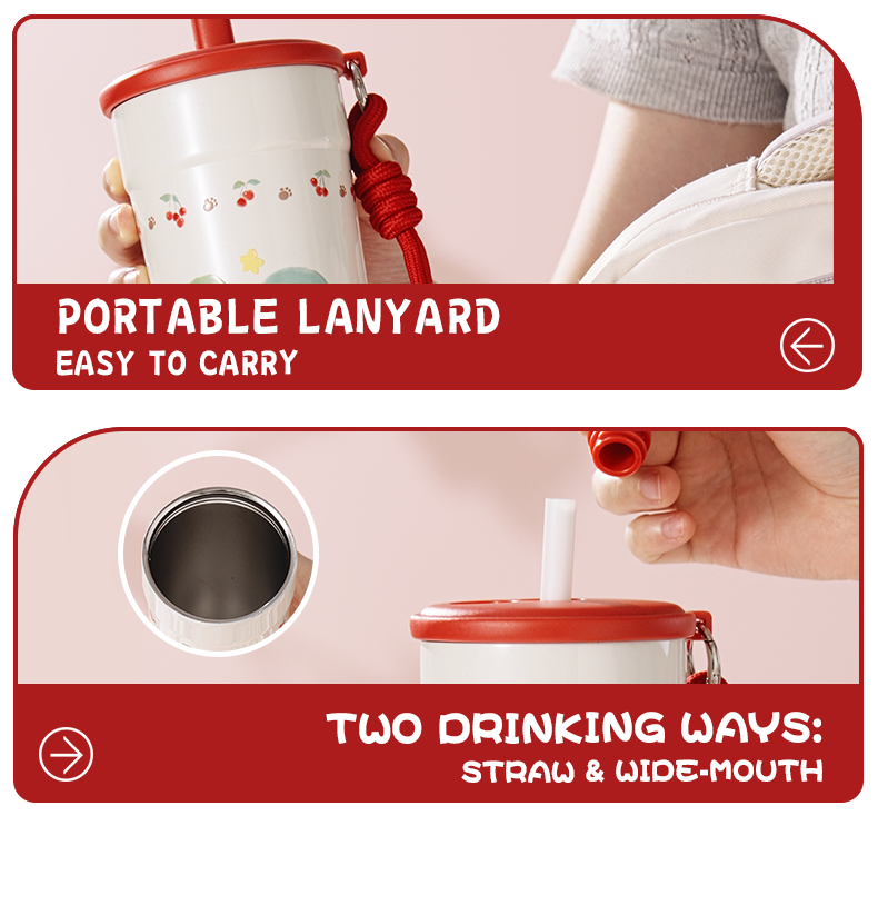 700ml 316 Stainless Steel Straw Cup Water Bottle D9434-700