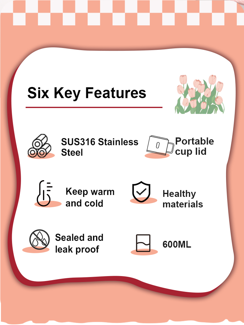 600ml 316 Stainless Steel Water Bottle D9501-600